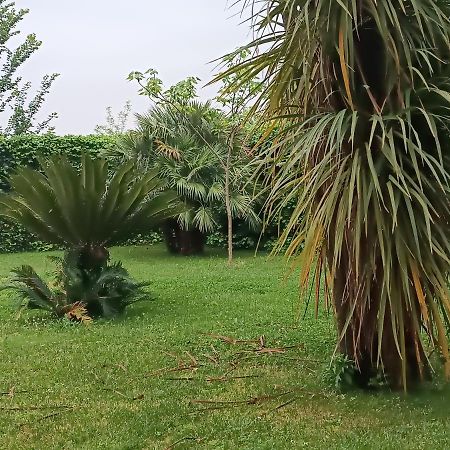 Villa Marano Caianello Vecchio Екстериор снимка